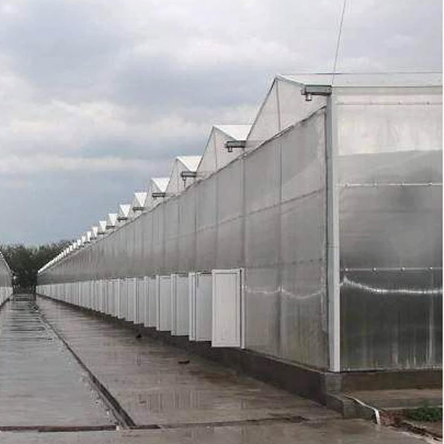 Polycarbonate Roofing Sheet UV Resistant Greenhouse Clear Film Transparent …