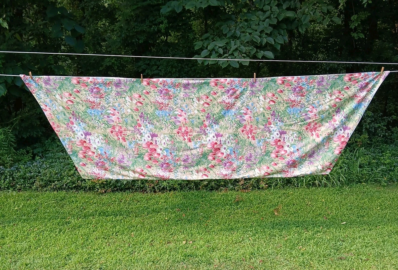Croscill Window Scarf Valance Cottage Fabric Floral Blue Purple Pink Pair 142×42