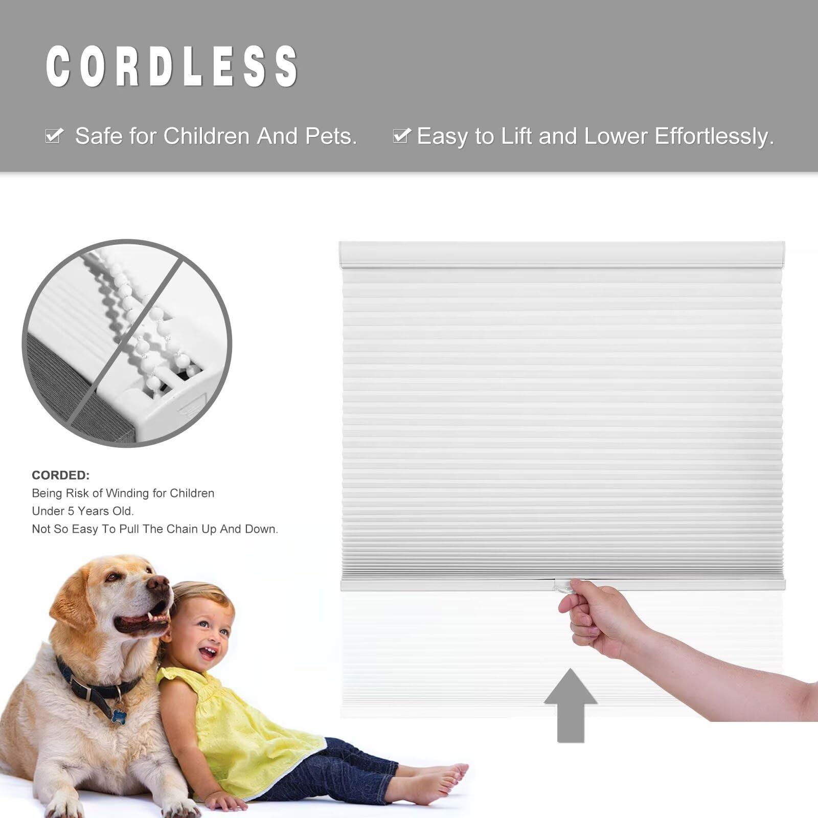 Changshade Cellular Blinds Shades Cordless Windows Doors Honeycomb Blind Light