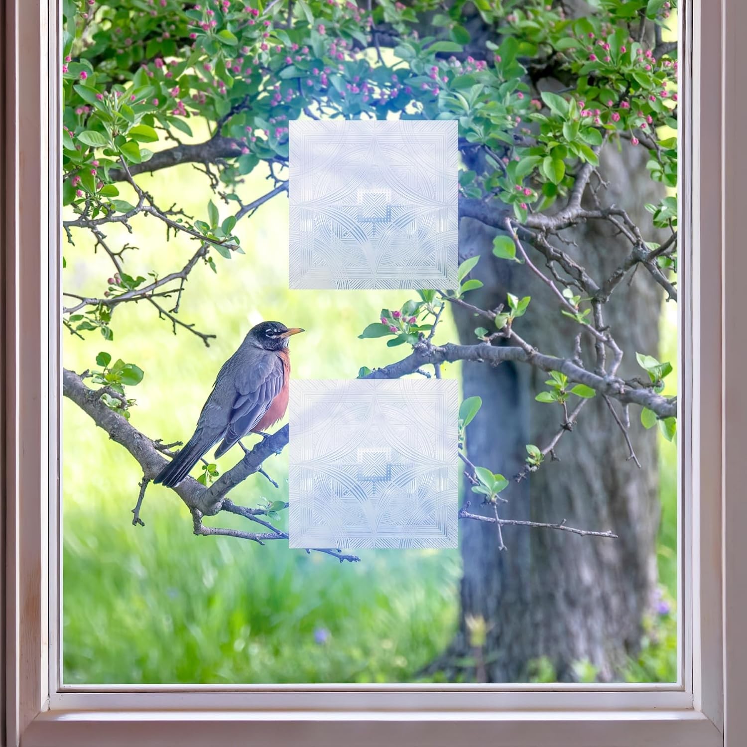 Bird’s Eye View Window Film Bird Deflectors by , Four-Pack, Static Cling,