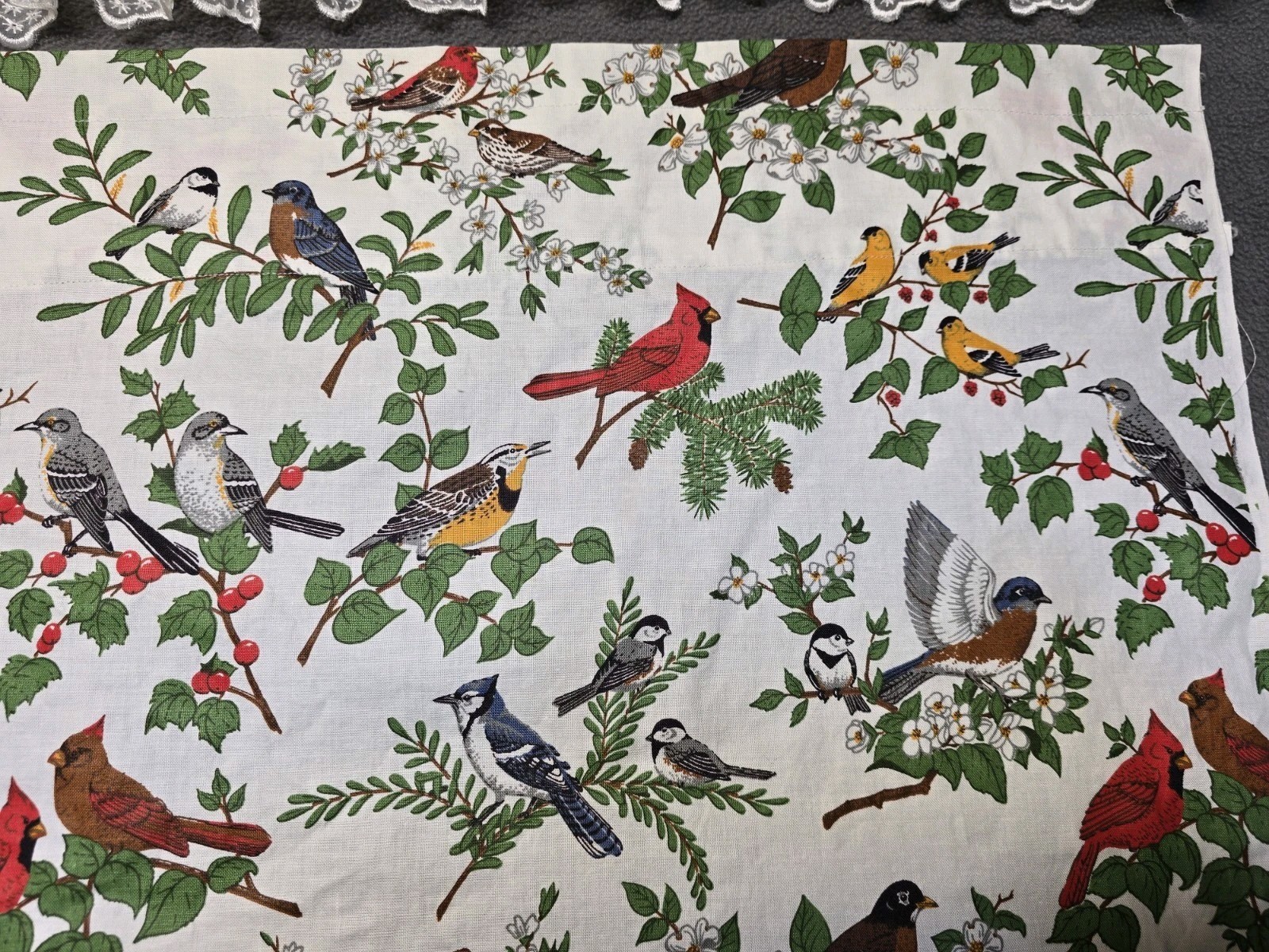 Vintage Window Valance Pair Birds V.I.P Screen Print Cranston Material Colorful