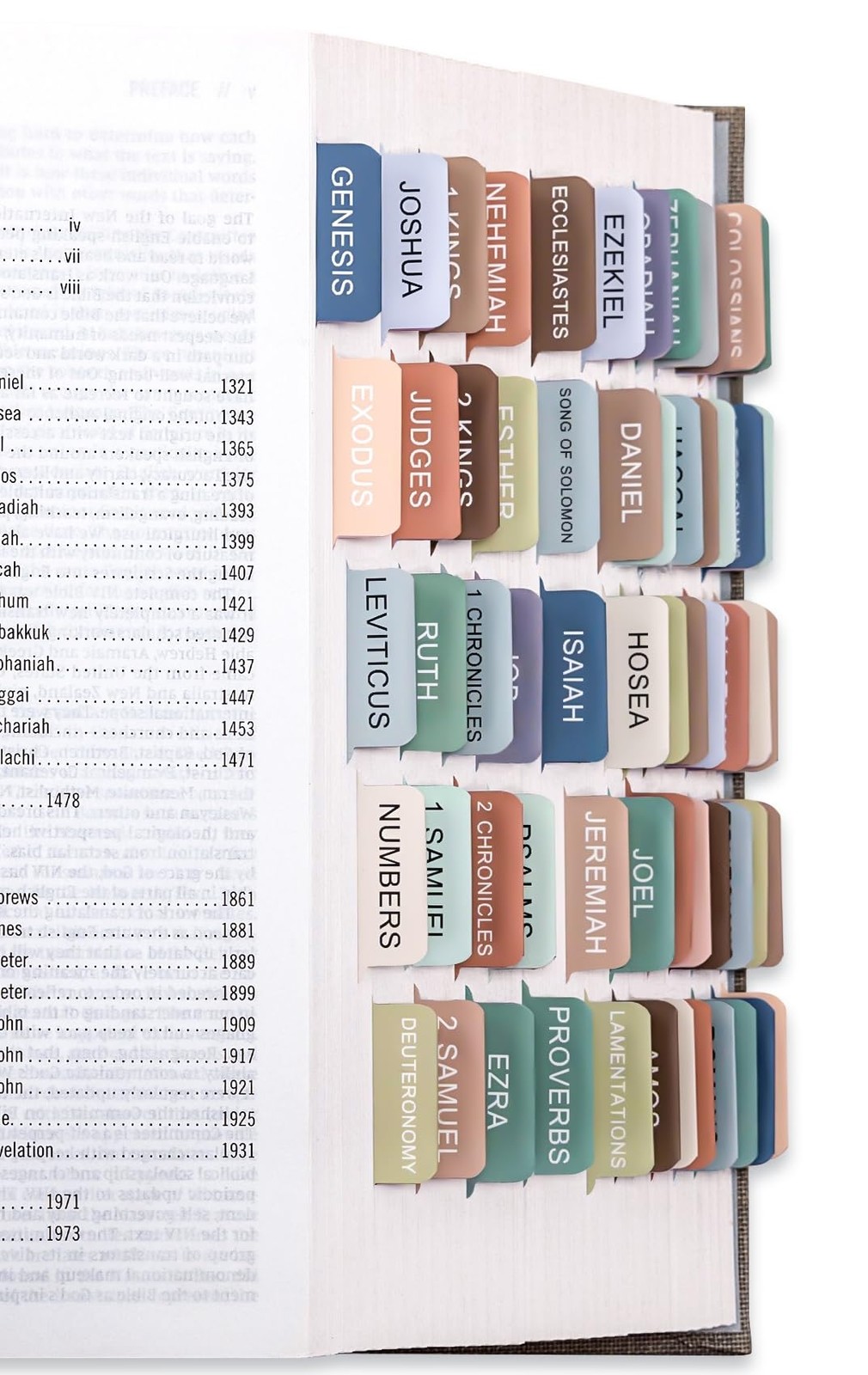 Laminated Bible Tabs for Women & Men – Large Print Study Colorful