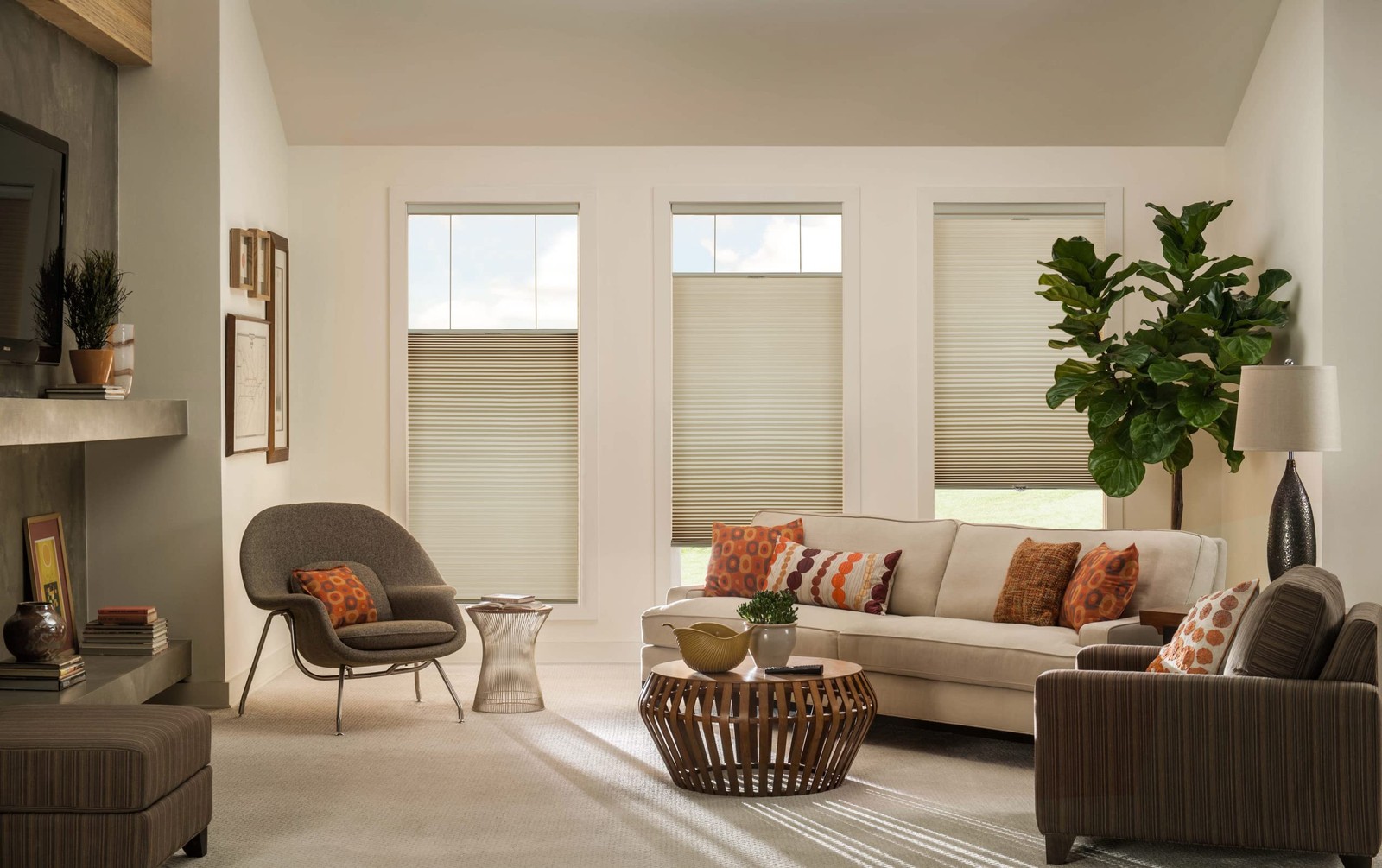 Lazblinds Top Down Bottom Up Tdbu Cordless Cellular Shades Light Filtering