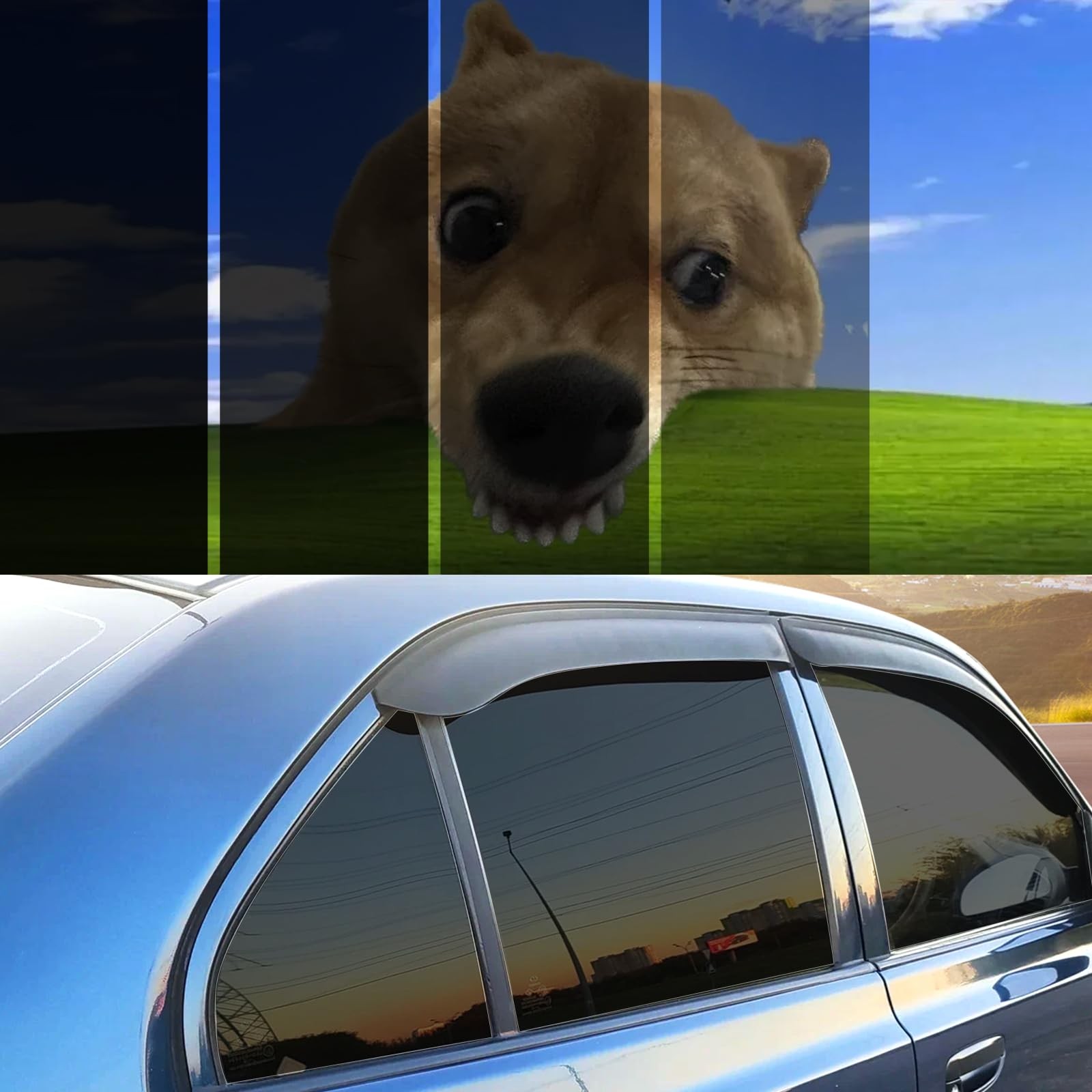 50% Window Tint Car with 50 Percent VLT 24 in x 10 Ft Privacy Ceramic Window …