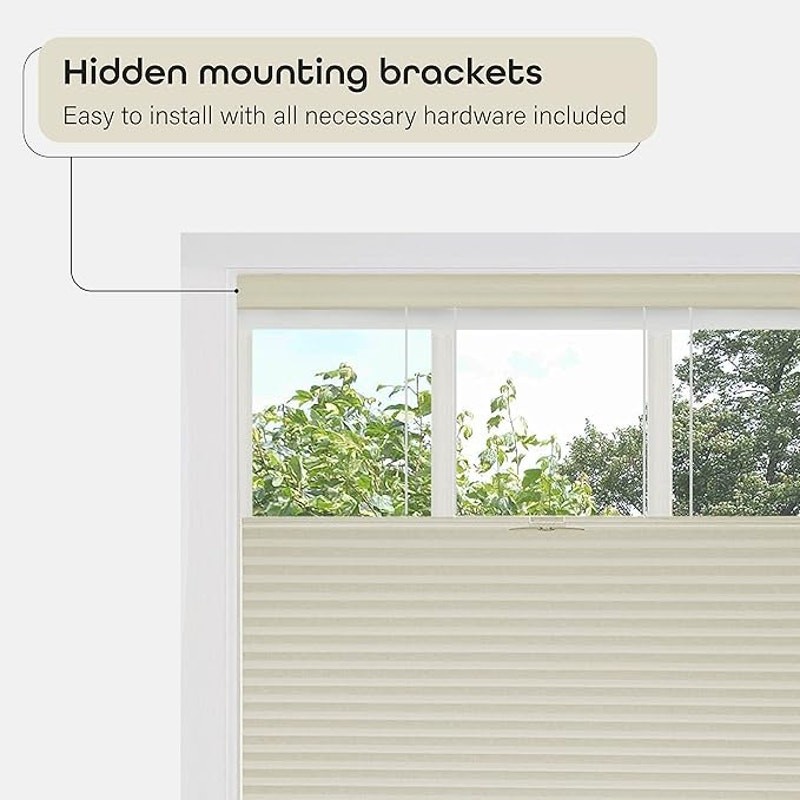35X64 Cordless Cellular Pleated Window Shades