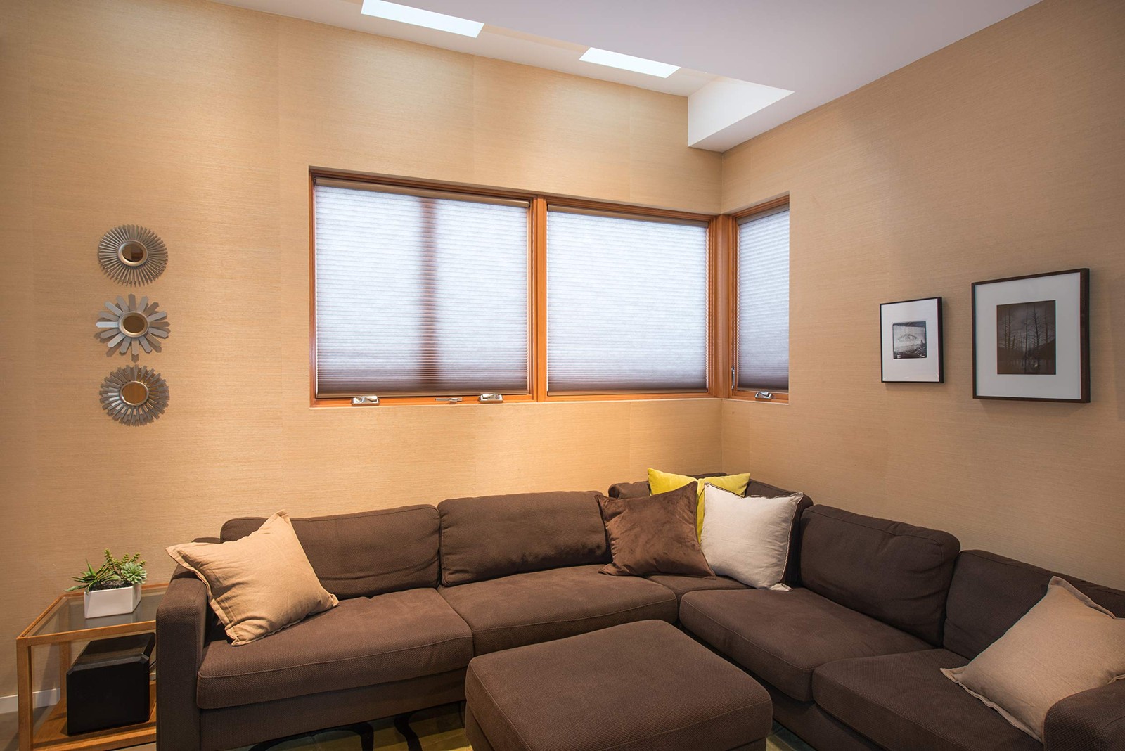 Redi Shade No Tools Custom Cordless Cellular Light Filtering Shades Mocha 60