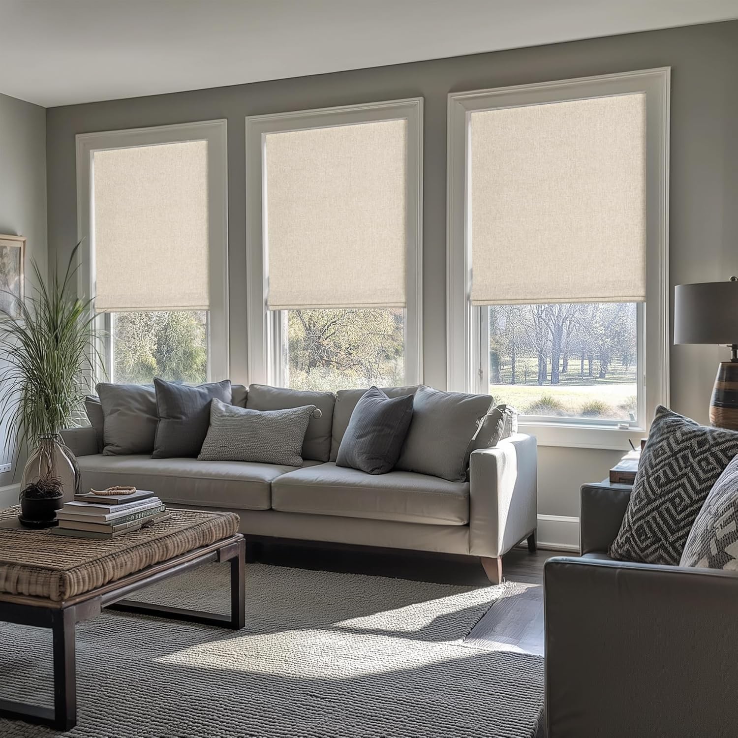 LazBlinds Cordless Roman Shades – No Drill Easy Install Window Blinds 34” X 64”