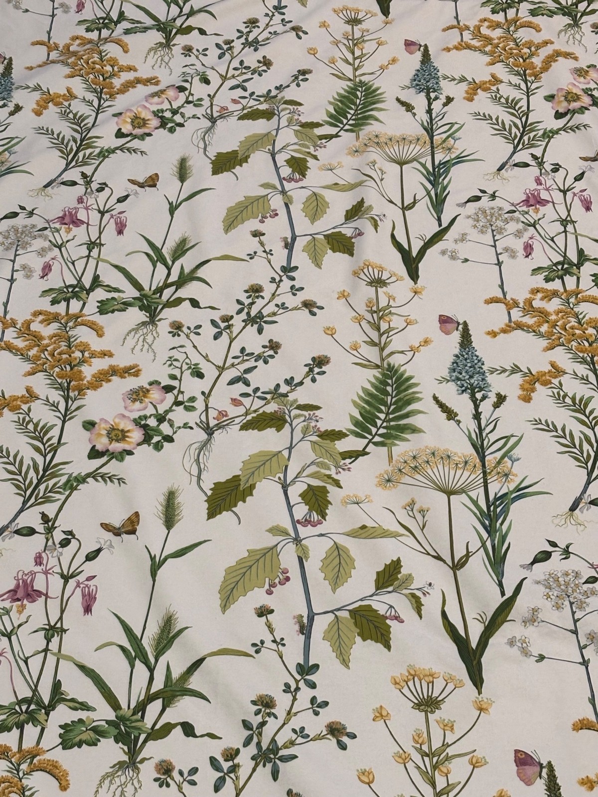 Ballard Designs Isabella Drapery Panel Botanical Floral Curtain 50×96 Cotton Gre