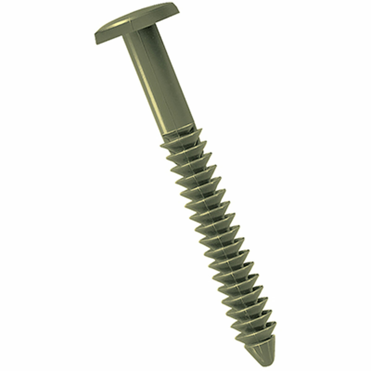 Colonial Green Window Shutters Panel Peg Loks 3″ Fasteners Spikes Lock Pegs New