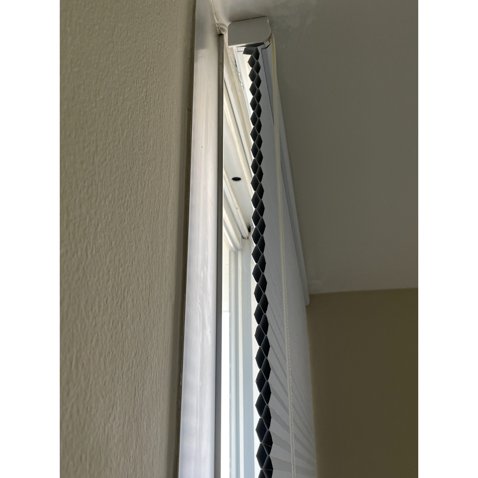 Bali DiamondCell Blackout Shade 46×95.5 Midnight Bright White Cord Loop