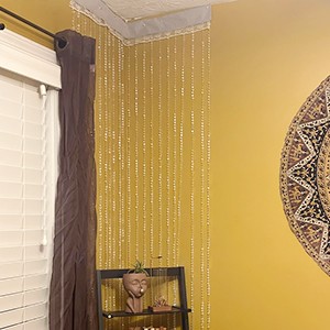 Crystal Beaded Curtain Door Curtains Room Divider Hanging Diamond Acrylic Beads