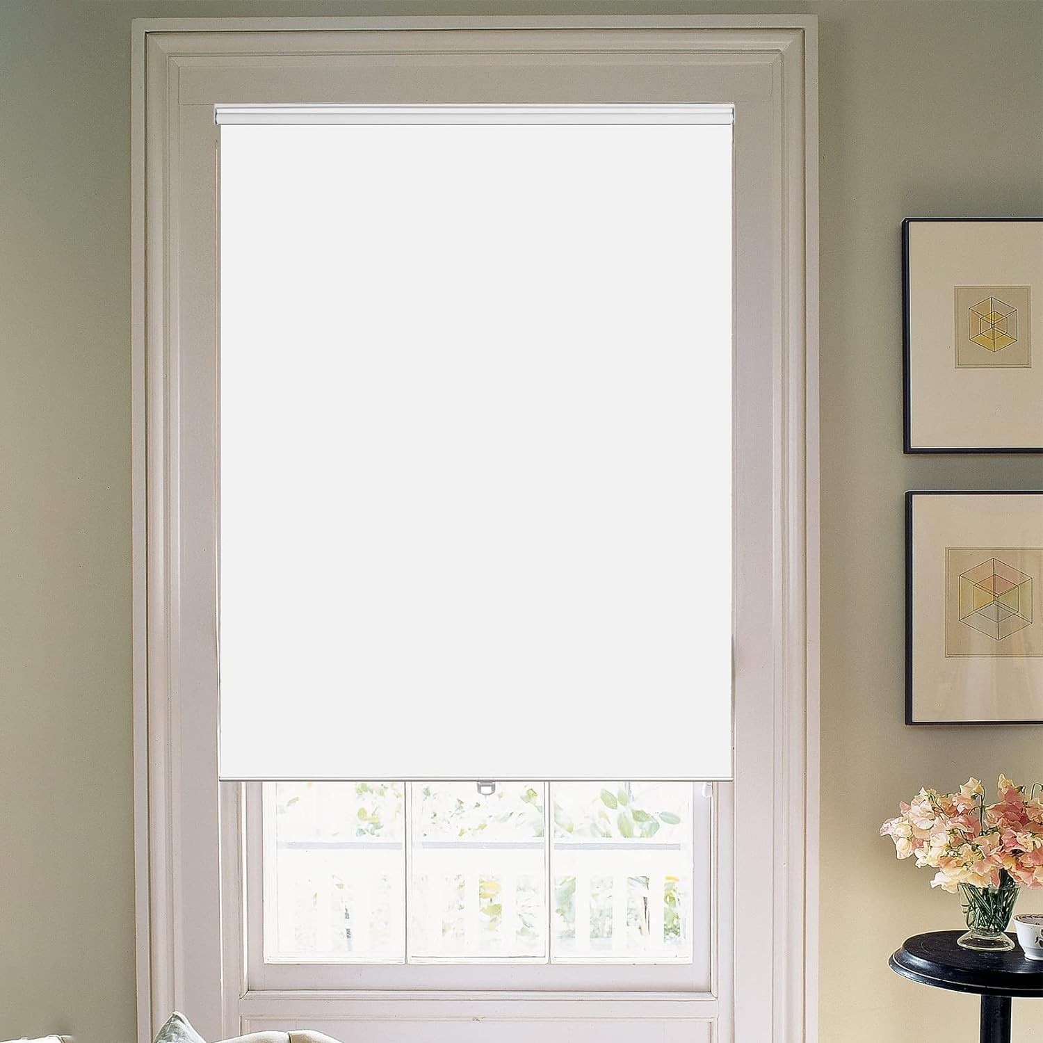 Joydeco Cordless Roller Shades Blackout Blinds For Windows Room Darkening