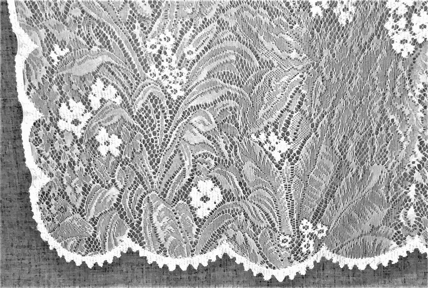 English Fern Tab Top Lace Window Panel White 60″ X 84″ Bedroom Livingroom