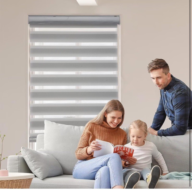 Cordless Zebra Roller Shades for Windows,Gray Sheer Zebra Blinds Dual Layer NIP