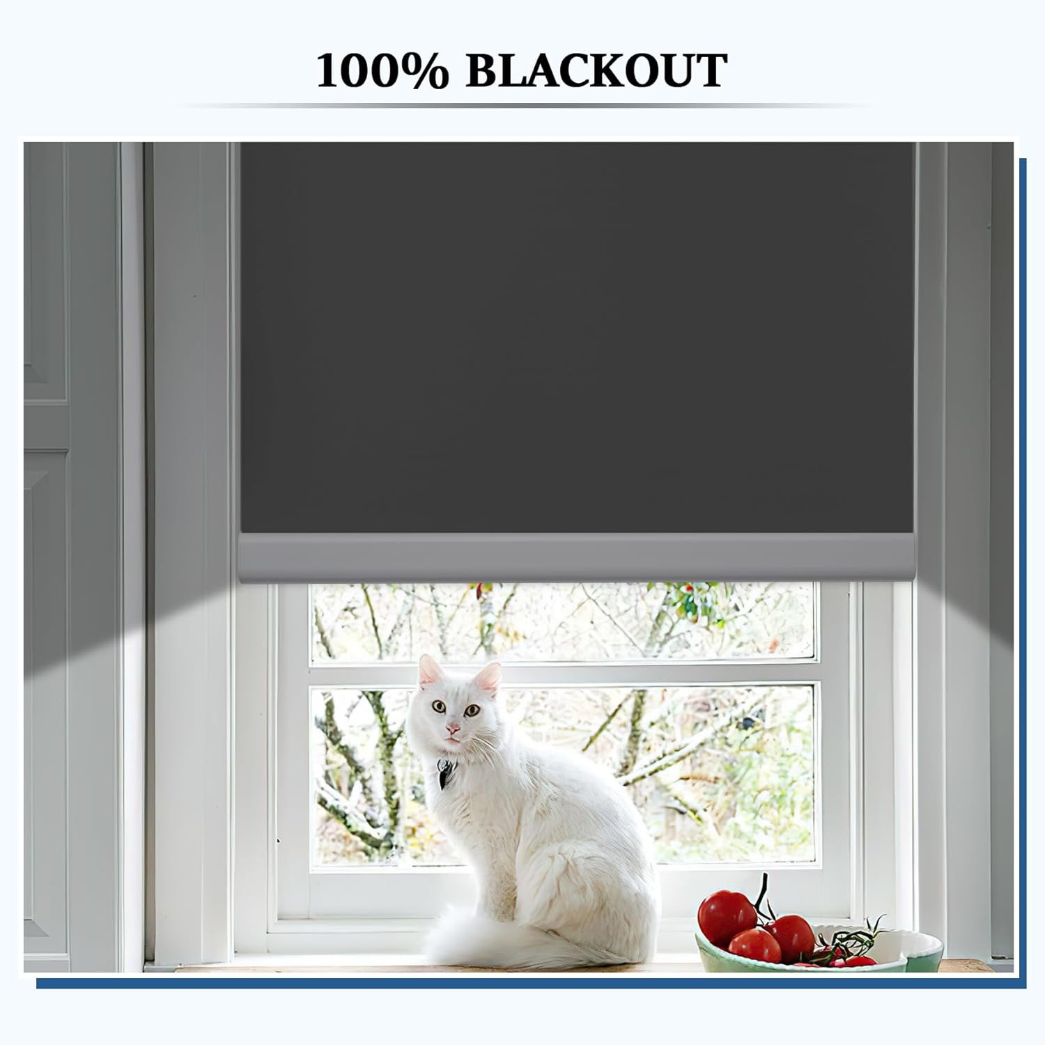 Remote Control Motorized Blackout Roller Shade, Dark Grey 34″x72
