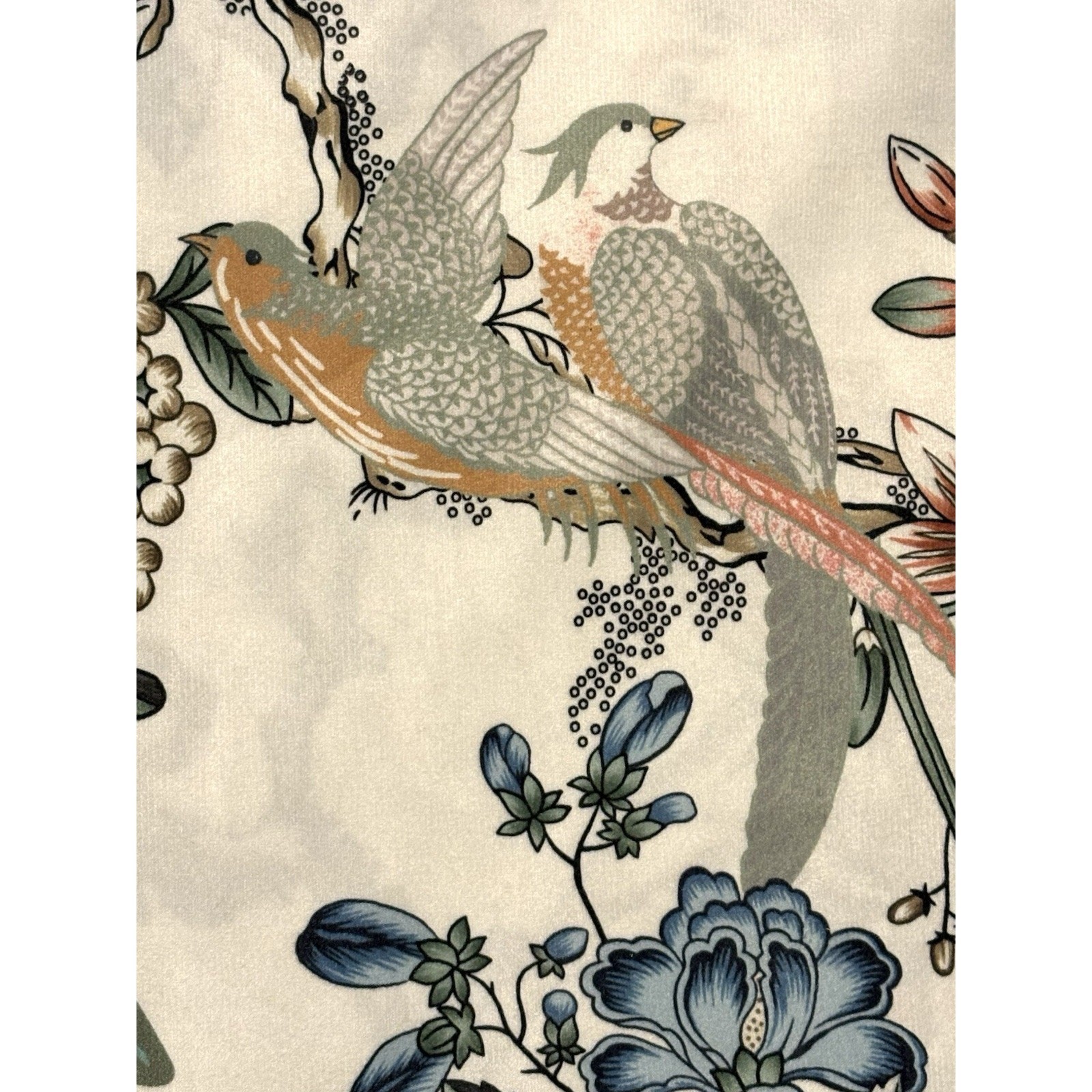 Callisto Home Peacock Bird Window Curtains Panels 38 X 96” Set Pair Ivory Drapes