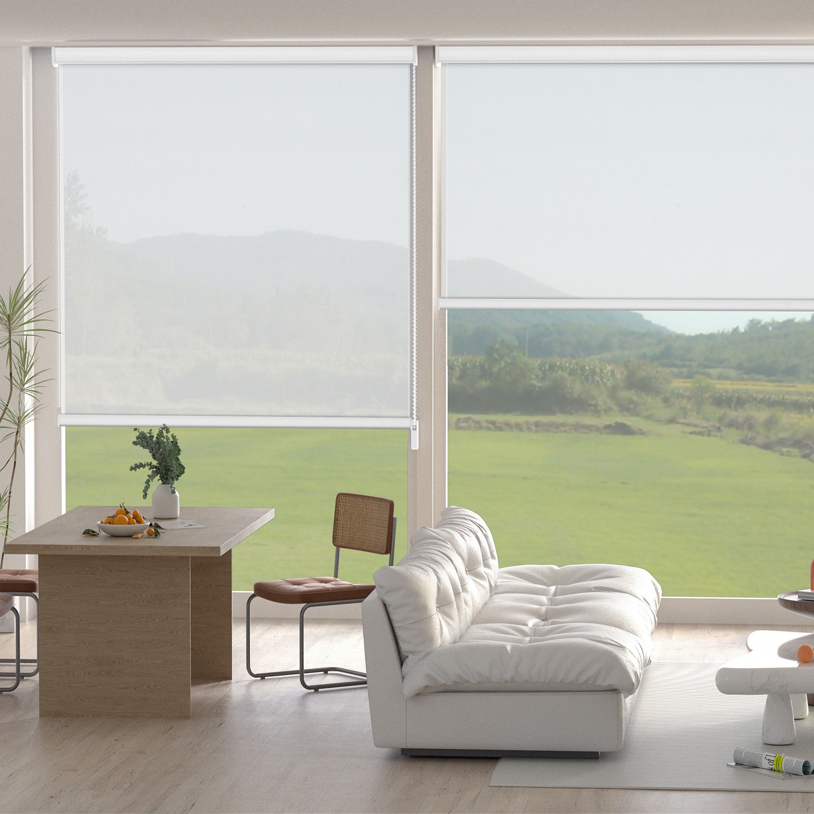 Changshade CUSTOM Light Filtering Waterproof Window Blinds Corded Roller Shades