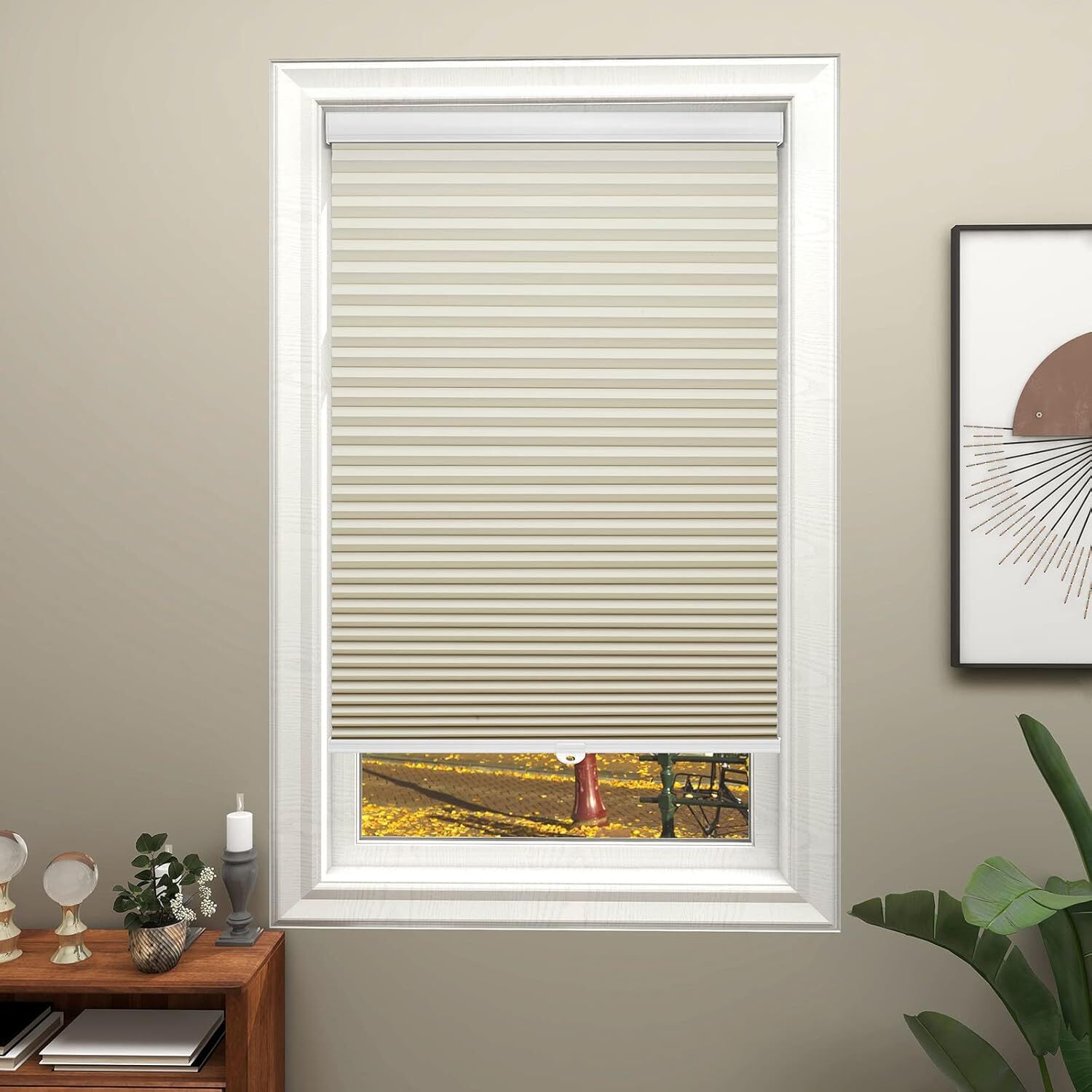 Changshade CUSTOM 1.5in Cordless Blackout Honeycomb Window BlindsCellular Shades