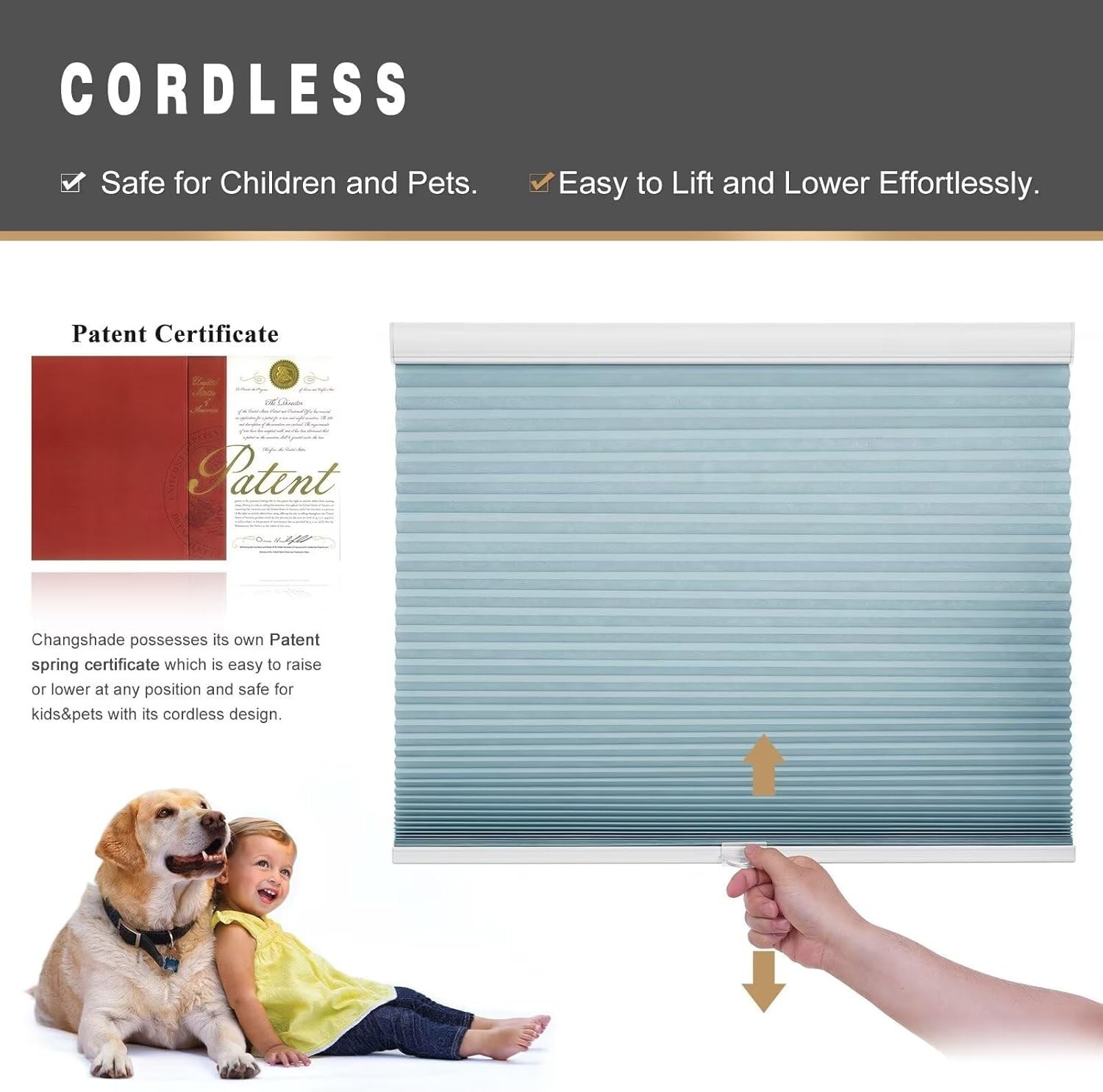 Changshade Home Decorators Cellular Shade Light Filtering Cordless Honeycomb