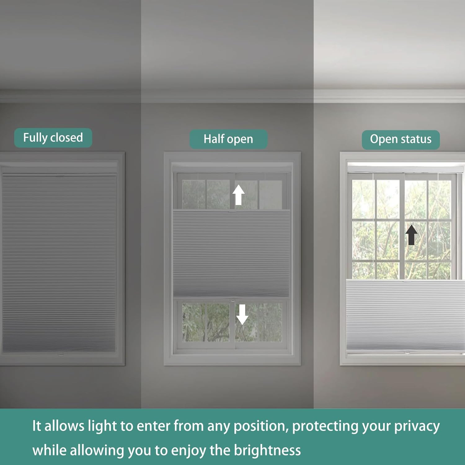 Cordless Blackout Cellular Shades, Top Down Bottom Up, 44″x72″, White