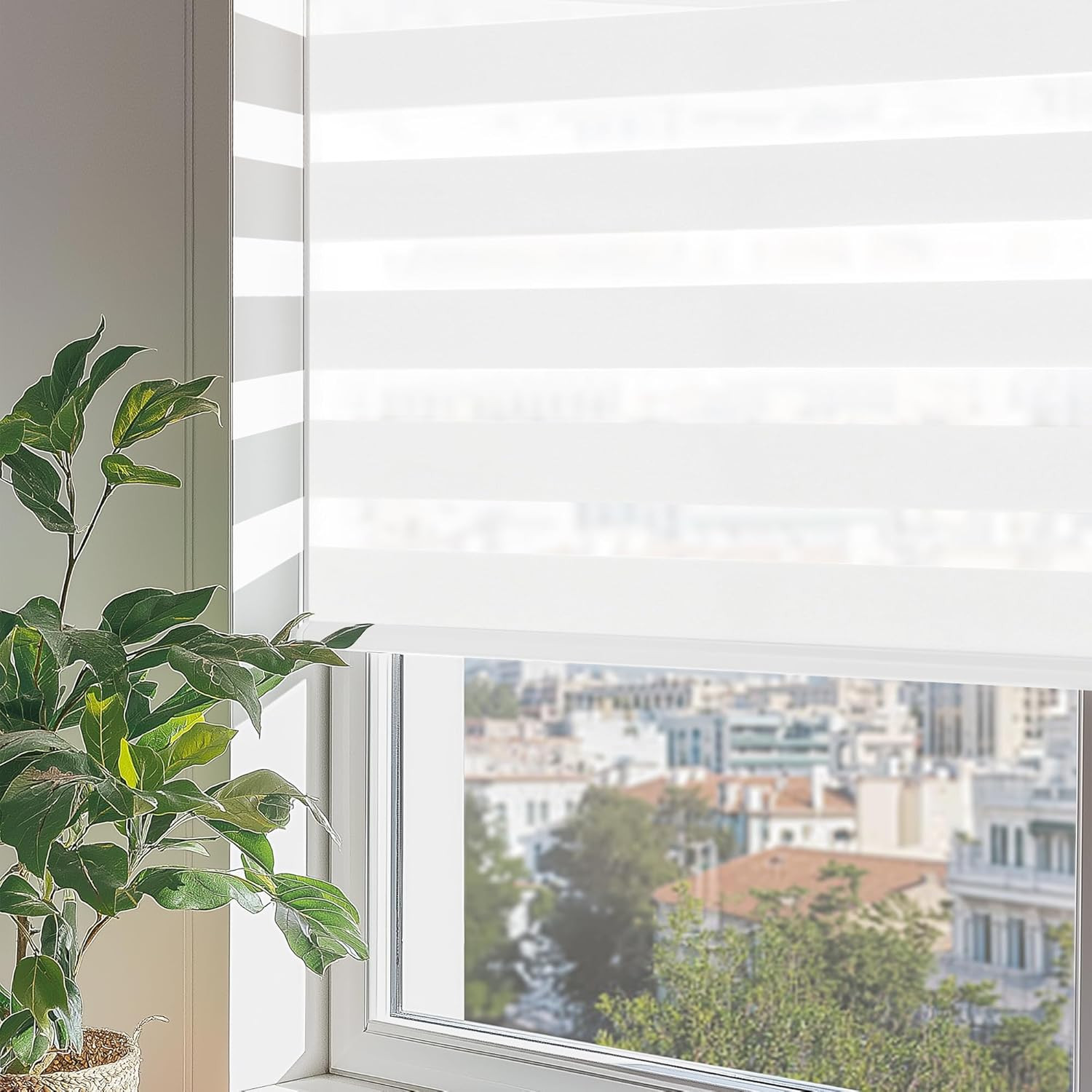 Cordless Zebra Blinds – Dual Layer Light Filtering Roller Shades, 33″ W X 72″ H
