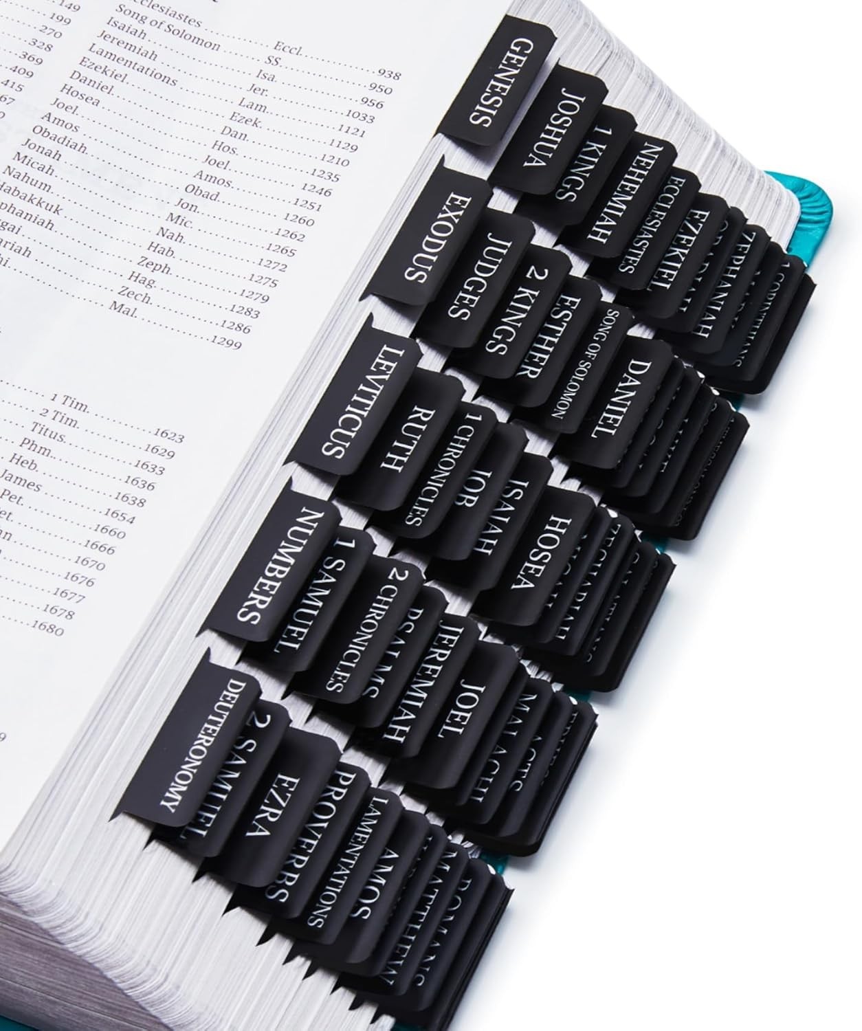 Laminated Bible Tabs for Women & Men – Large Print Study E-night