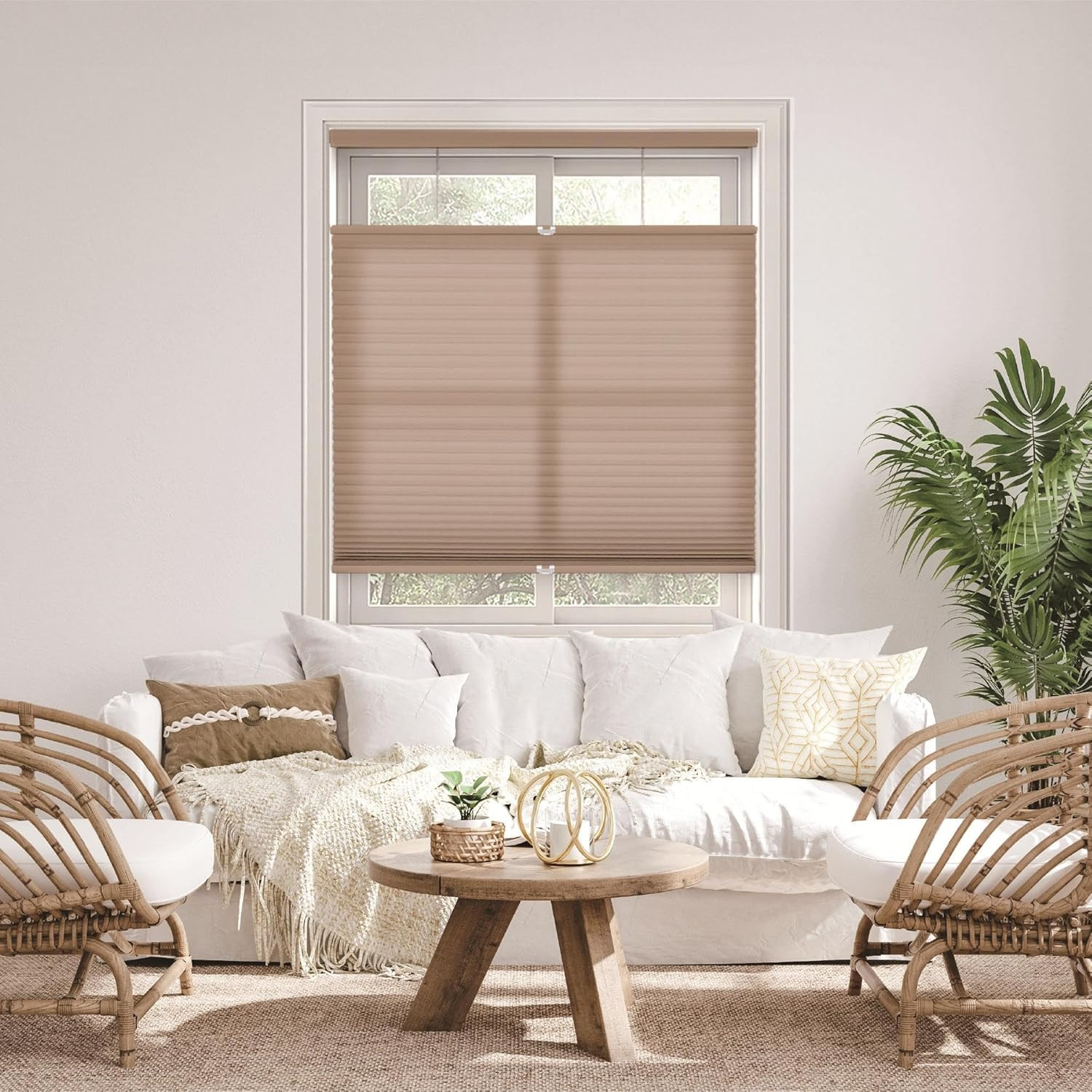 Cordless 1.5″ Light Filtering Top Down Bottom Up Cellular Shade, Latte 43″ W x 6