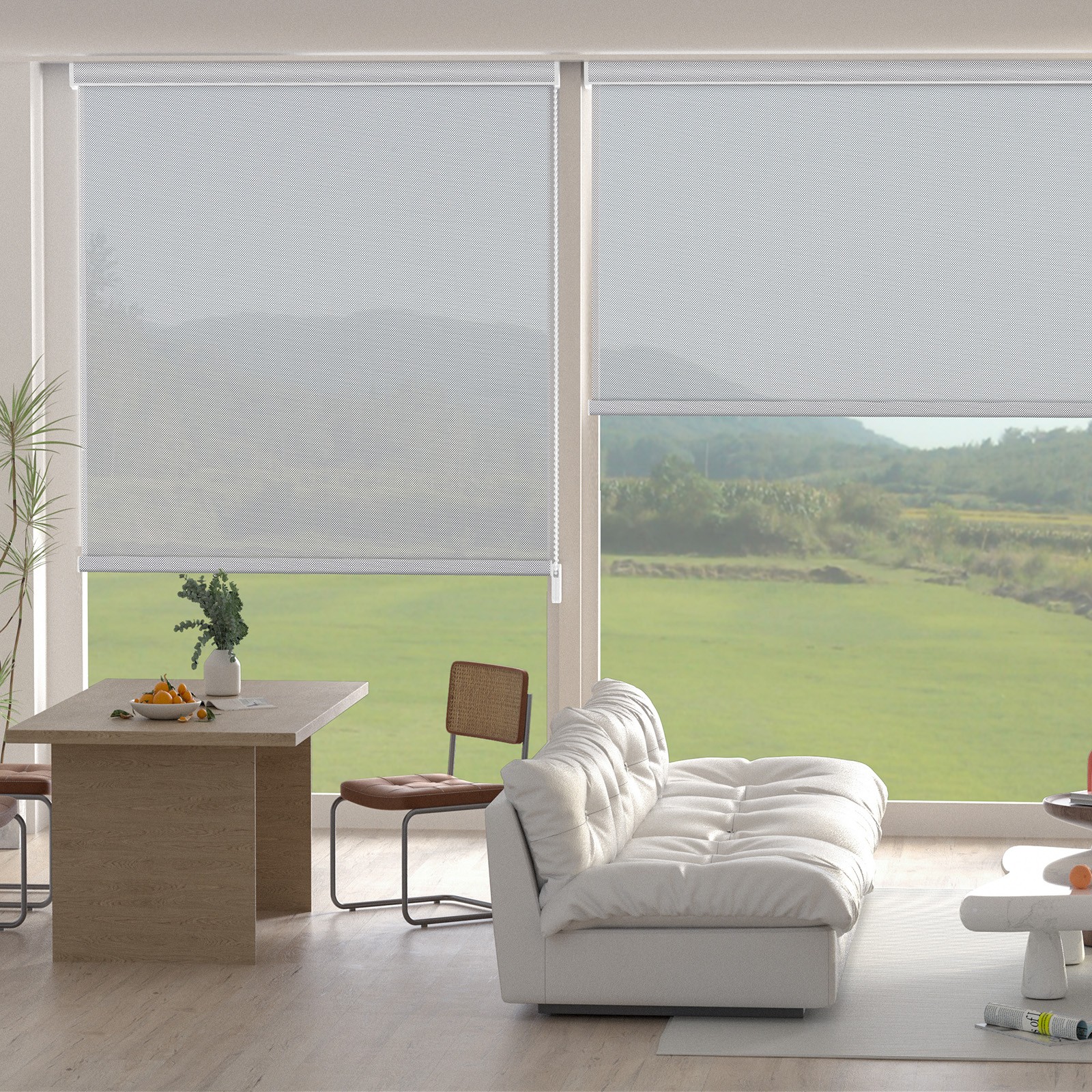 Changshade Light Filtering CUSTOM Made Window Blinds Roller Shades Corded Blind