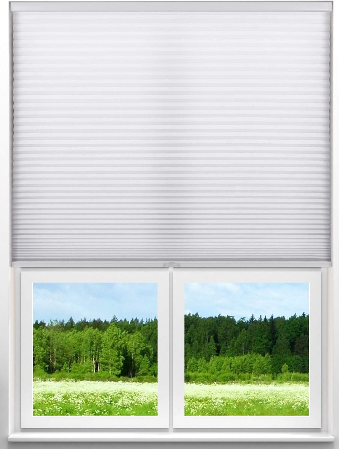 Single Cell Light Filtering Cordless Cellular Shades 46″ W x 60″ H