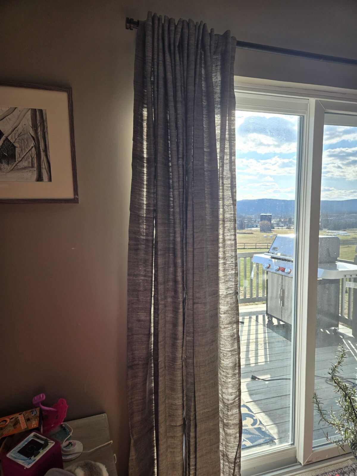 Crate&Barrel Silvana Silk Blend Panel Curtains (Grey)