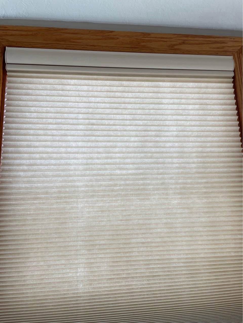 Bali Double Cell Top Down/Bottom Up Pleated Shades