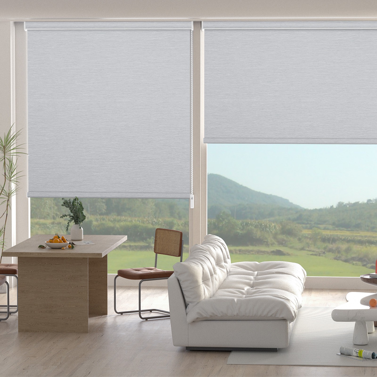 Changshade Custom Blackout Window Blinds Roller Shades Corded Roll-up Blind