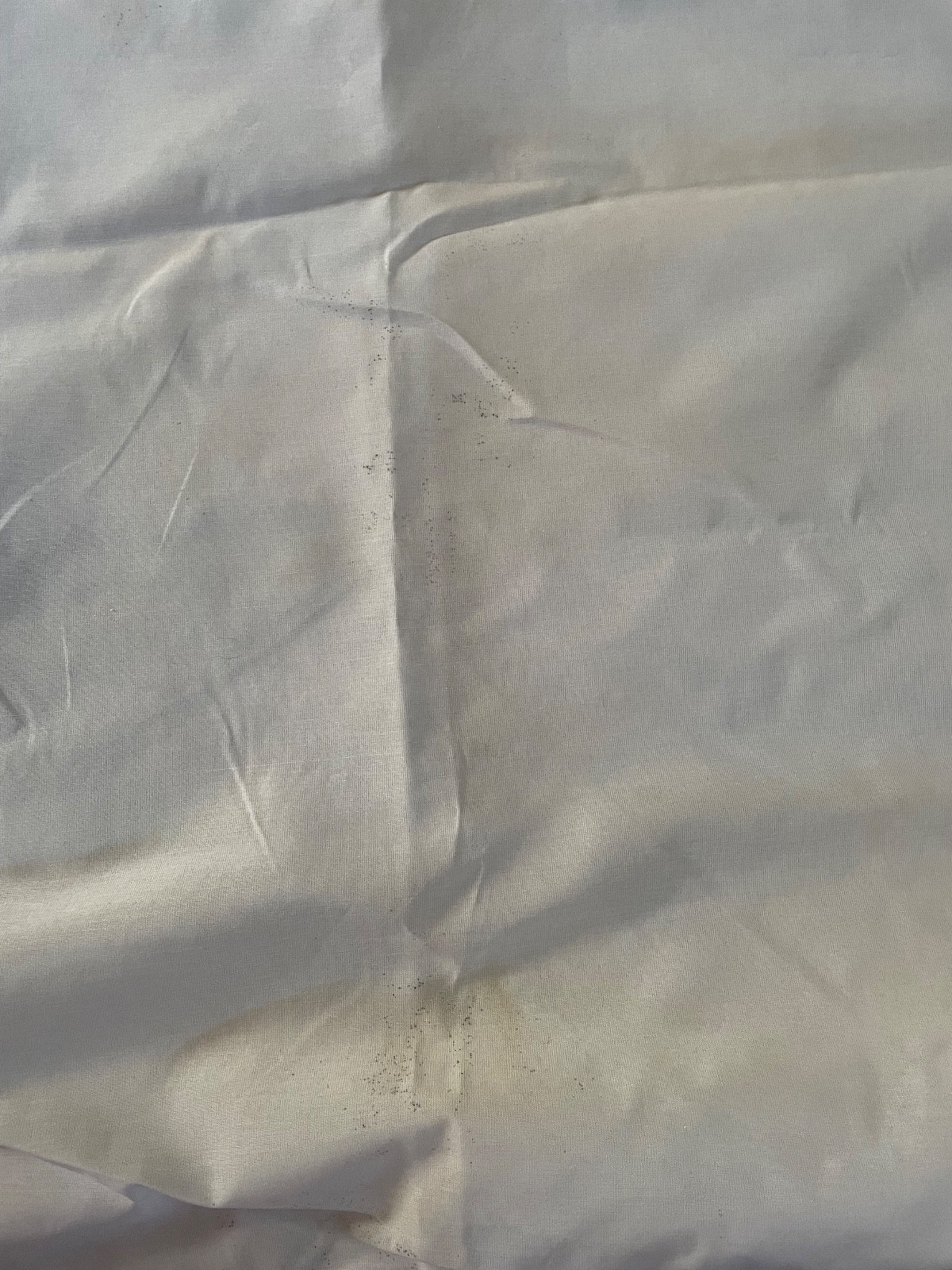 4 pce Croscill Chambord Cassis Original Matte Drapes Purple Rose Roses 80″L