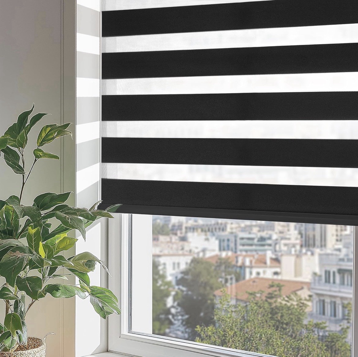 Cordless Zebra Blinds 53×72 Black Dual Layer Light Filtering Roller Shades