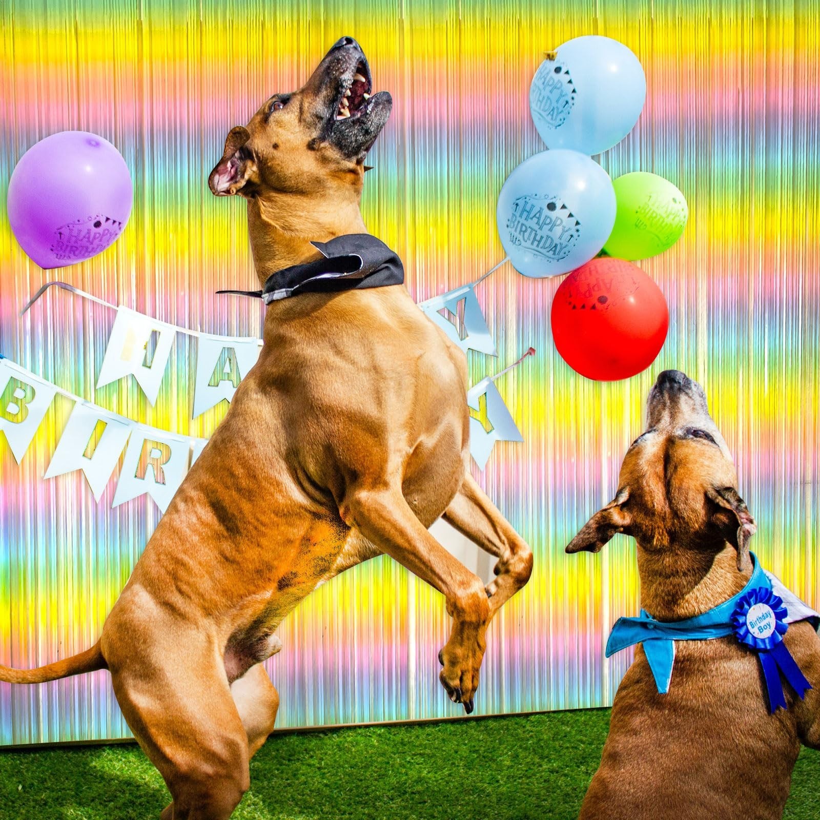 Pastel Rainbow Foil Fringe Curtain Streamers – Tinsel Backdrop for Birthday Part
