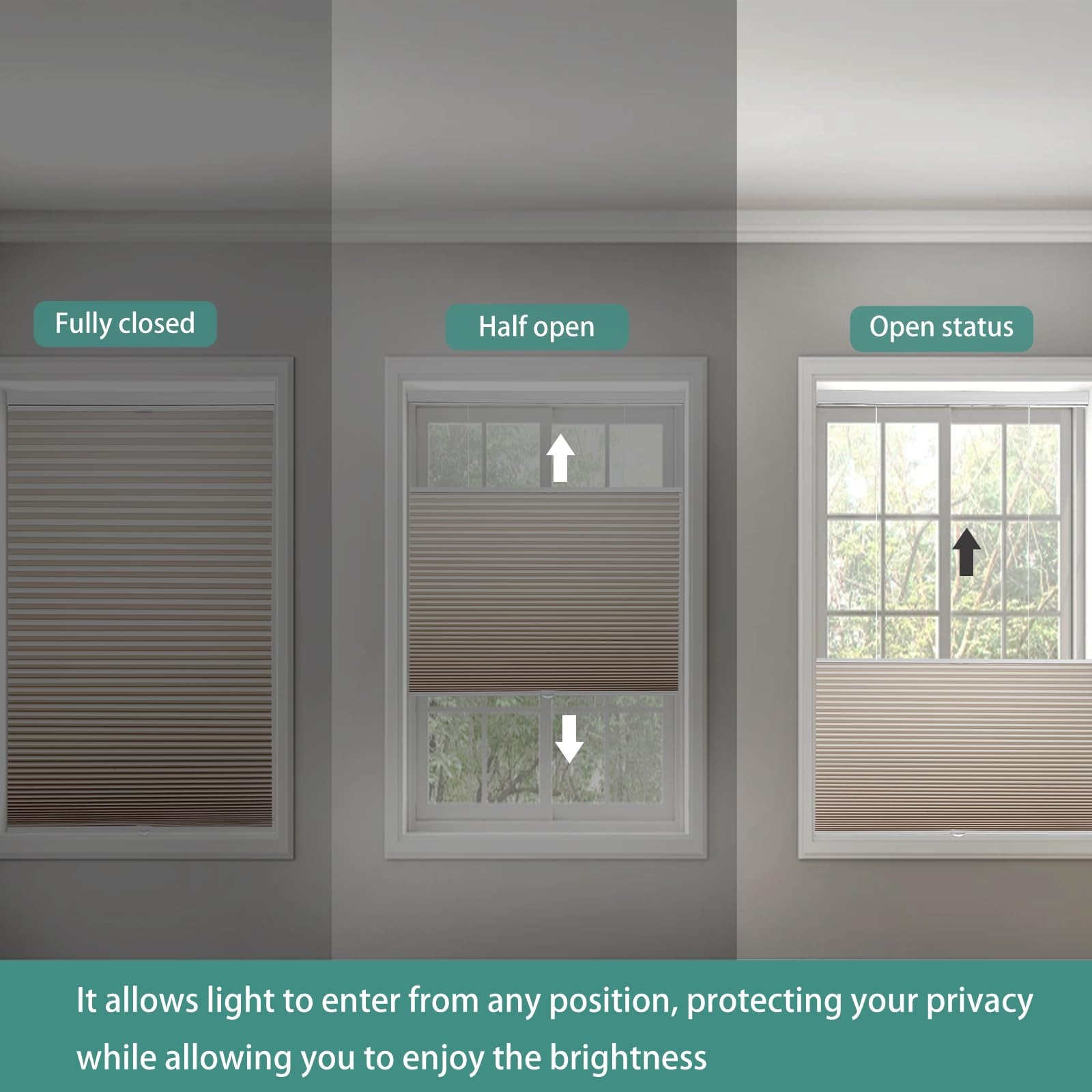 Changshade Blackout Top Down Bottom Up Cellular Shades Cordless Honeycomb