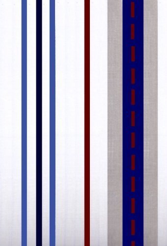 Disney Plane Crazy Window Panels Curtains Inspired by 1928 Mickey Mouse Cartoon