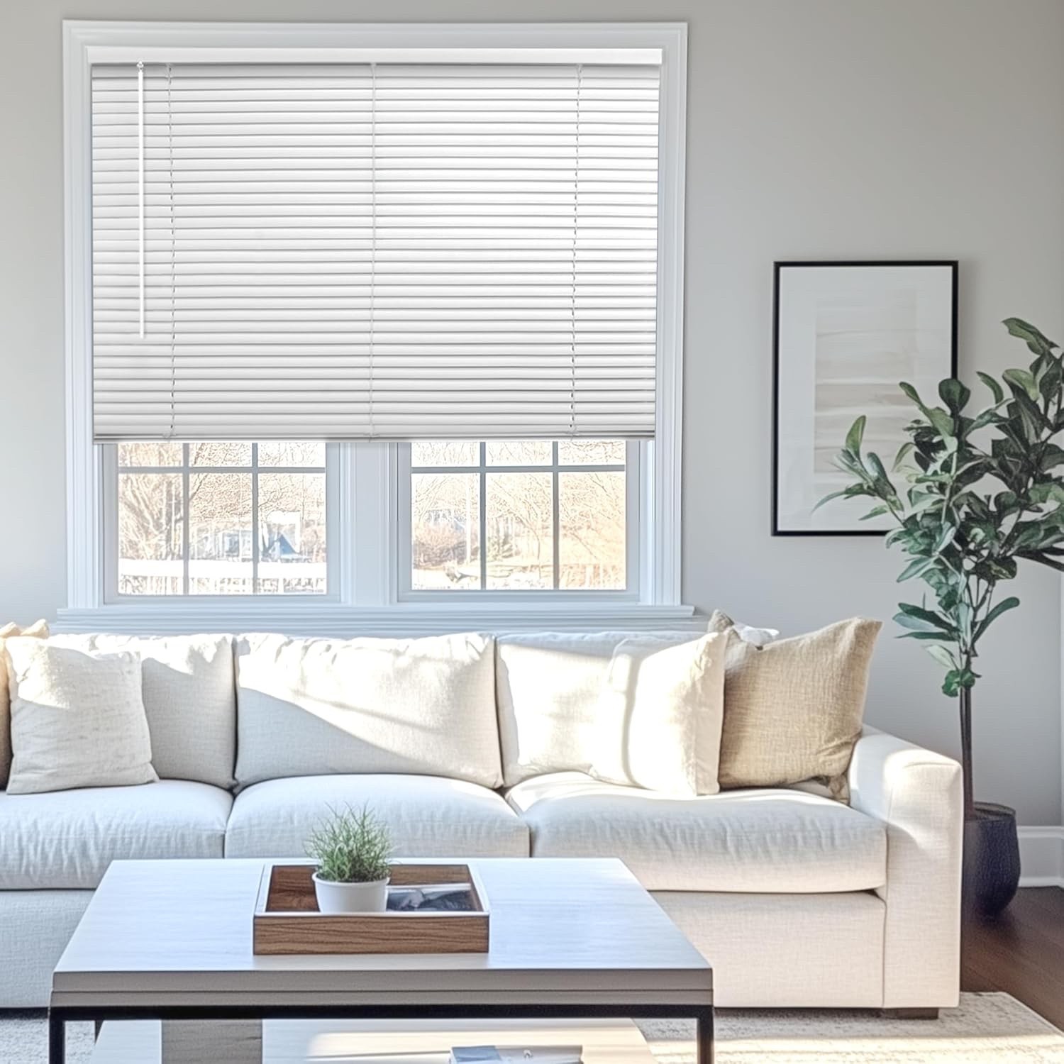 CHICOLOGY Blinds for Windows Mini Blinds 31 x 64 Gloss White