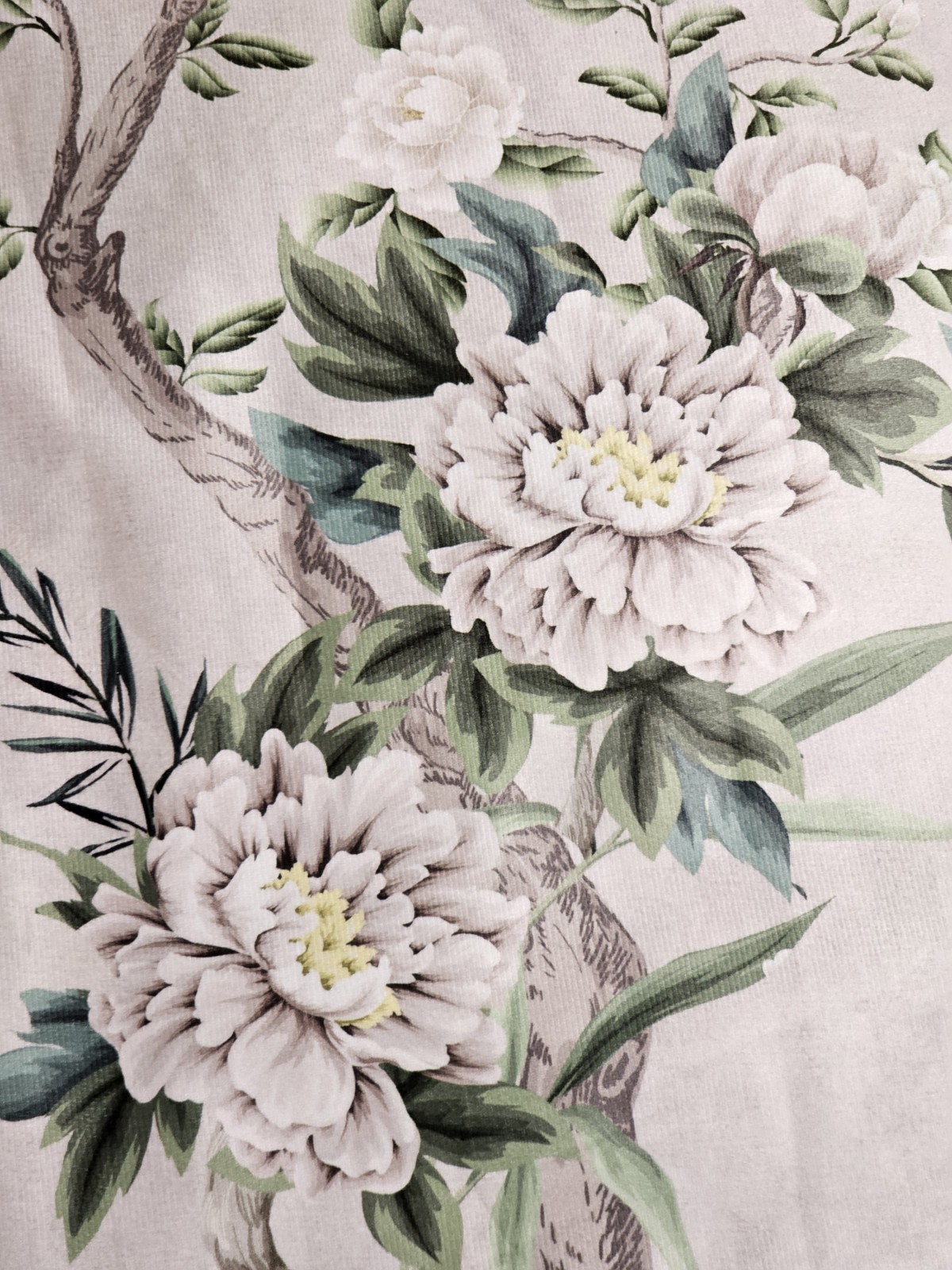 Callisto Home Heron Bird Window Curtains Panels 38 X 96 Pair Drapes Blush Scroll
