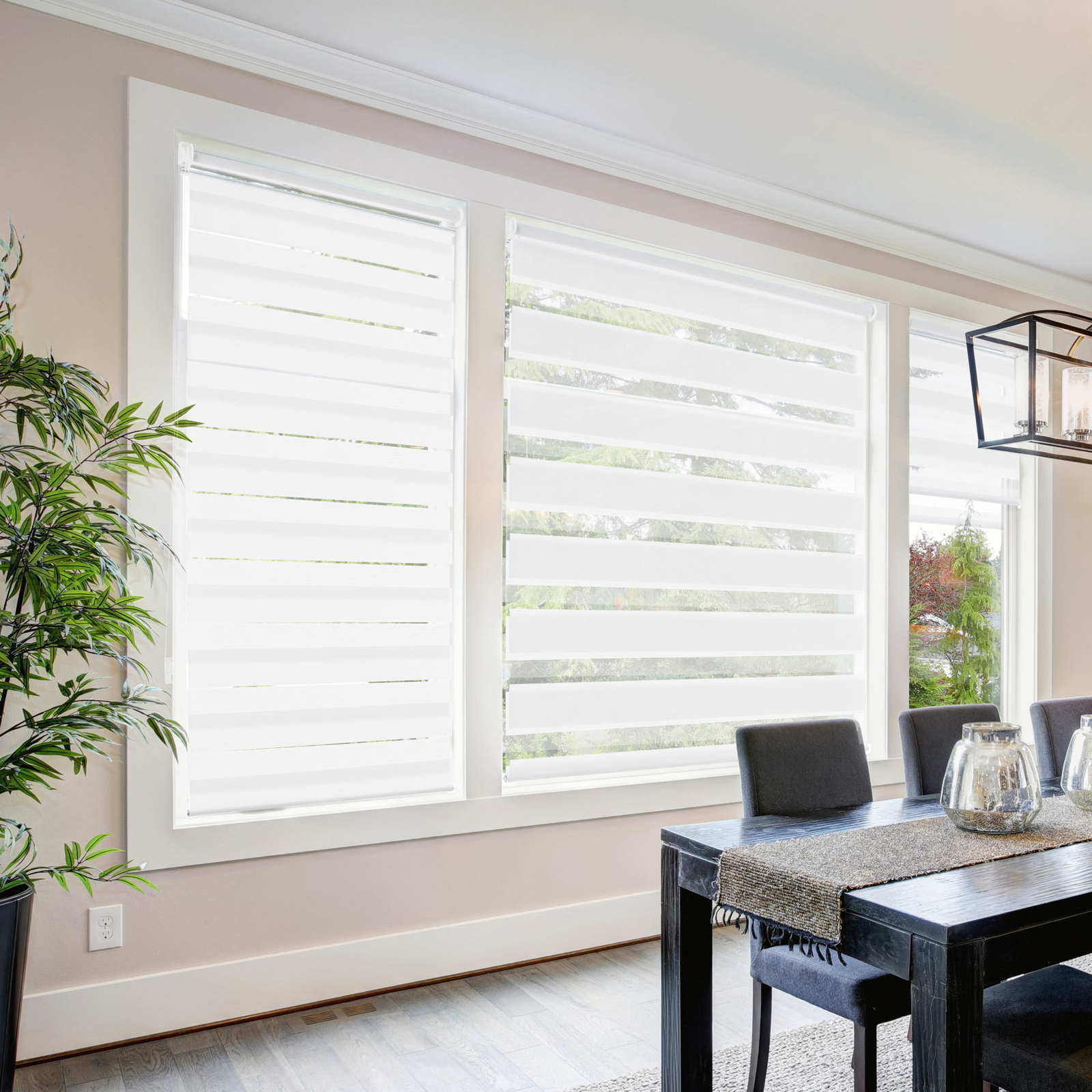 Cordless Zebra Roller Blinds Shades Sheer or Privacy – White, 20″ to 72″W x 72″H