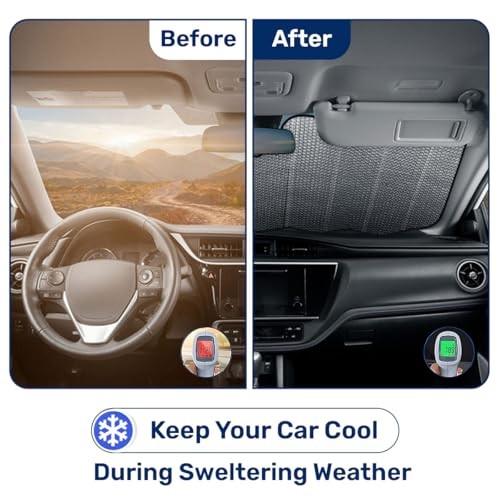 Dragon Wings Windshield Sun Shade for Car SUV Truck (69×35 Inches), Sun Shade