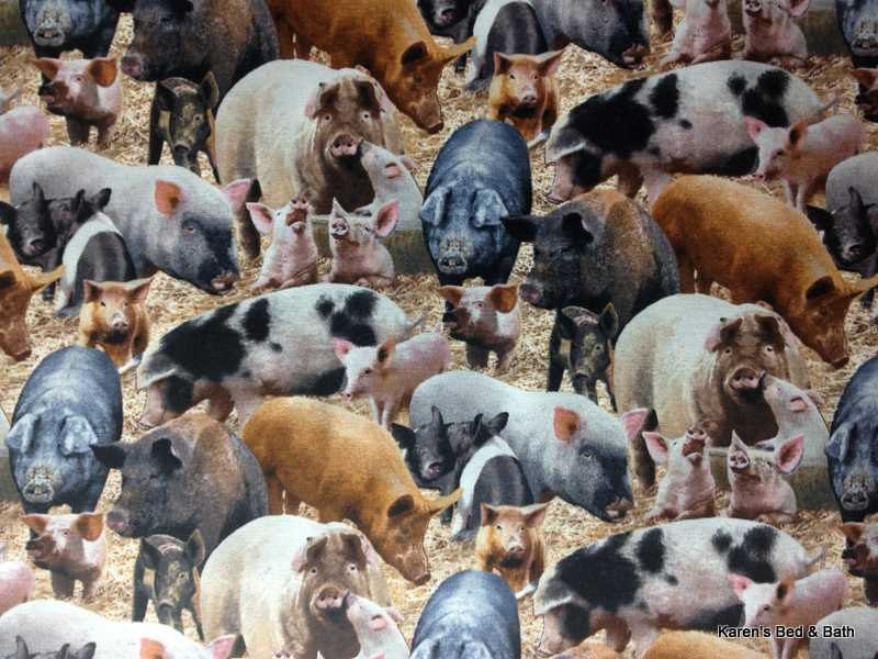 Farmhouse Pig Valance Curtain for Kitchen Window Country Barnyard Swine Decor