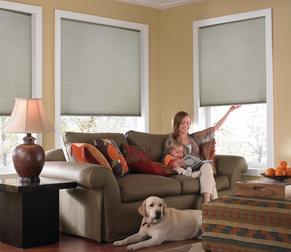 Custom Cordless Cellular Shades, Sizes 21″ to 72″ Wide (We email custom sizes)