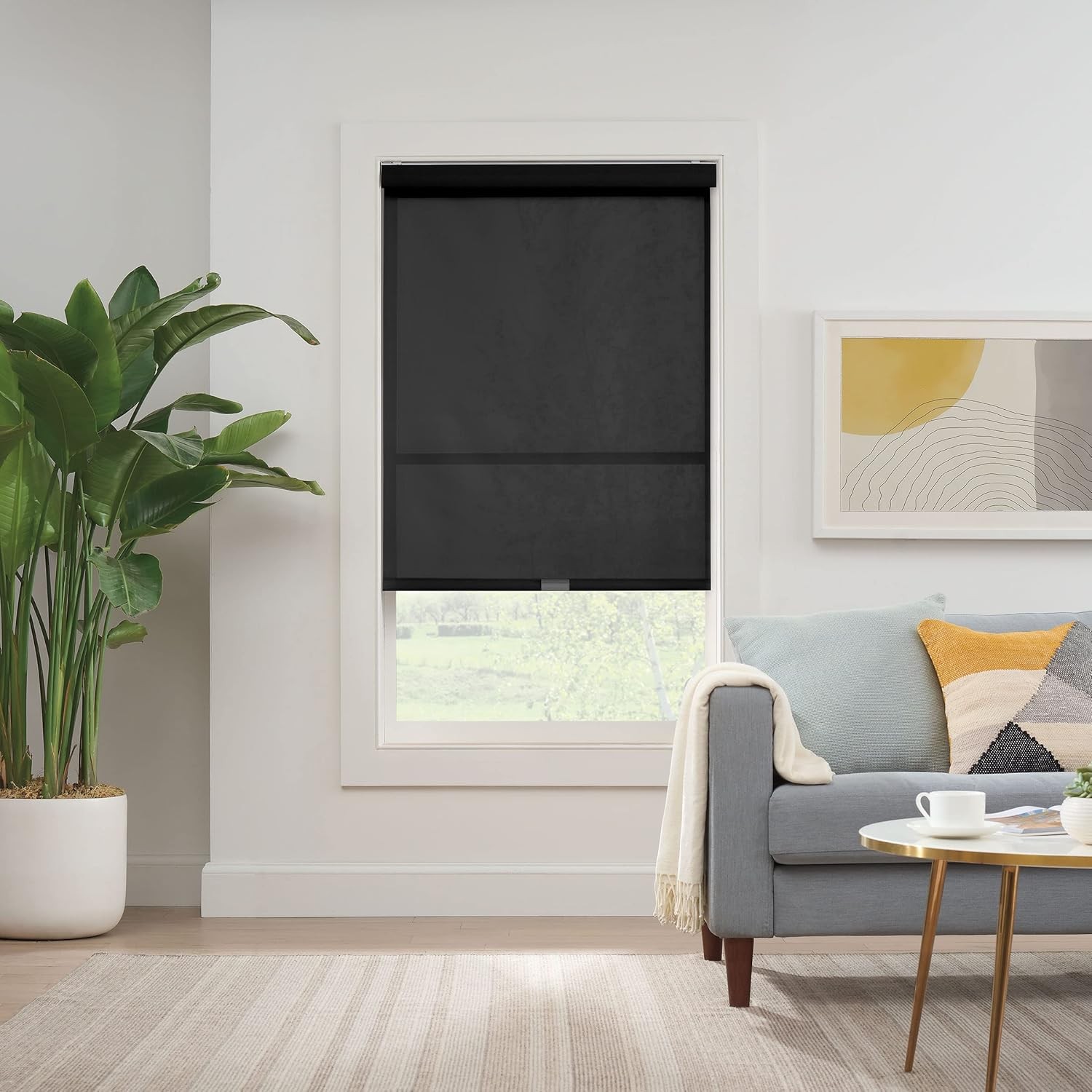 34×72 Eclipse Solar Modern Cordless Light Filtering Roller Shade Black