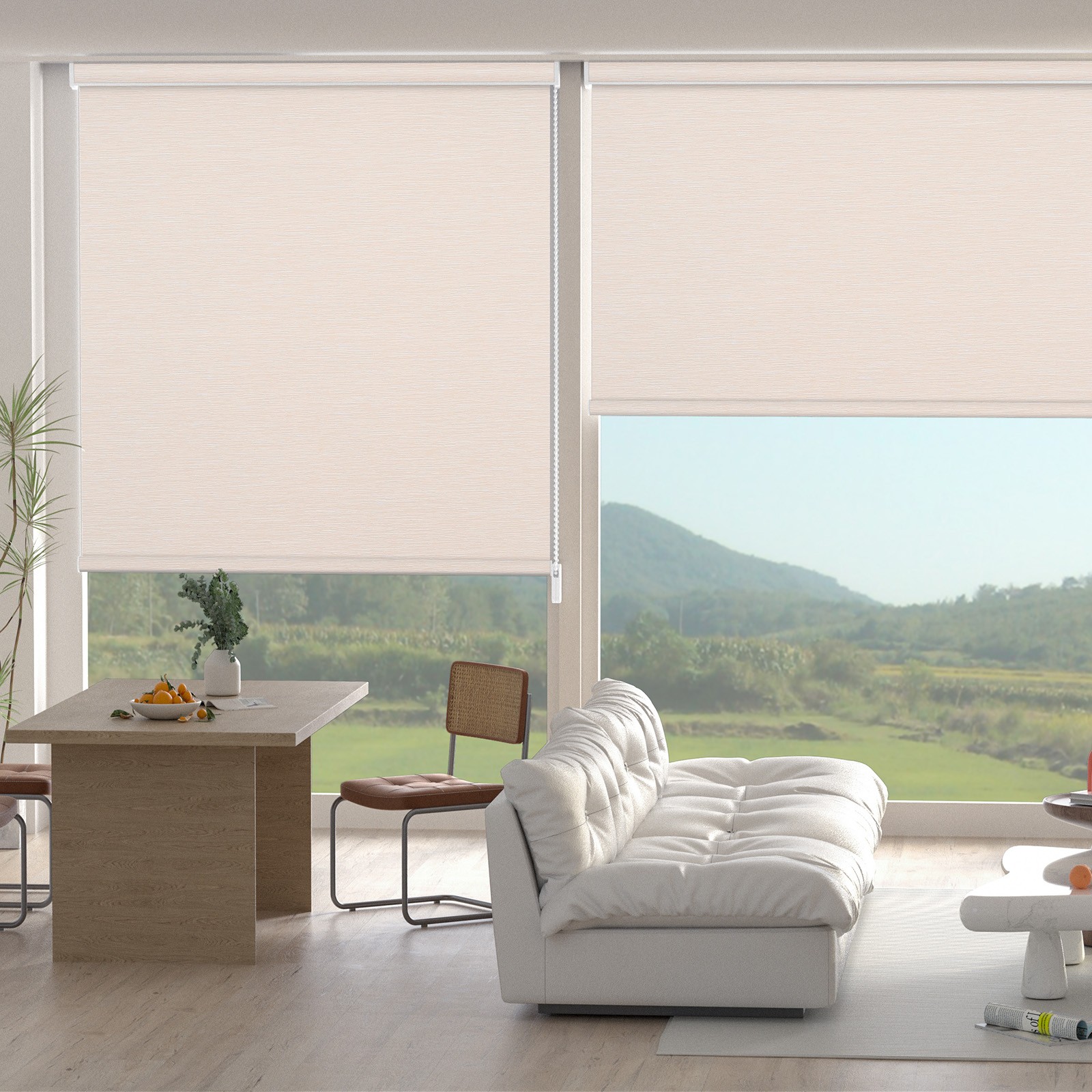 Changshade Custom Corded Roll-up Blind Blackout Window Blinds Roller Shades