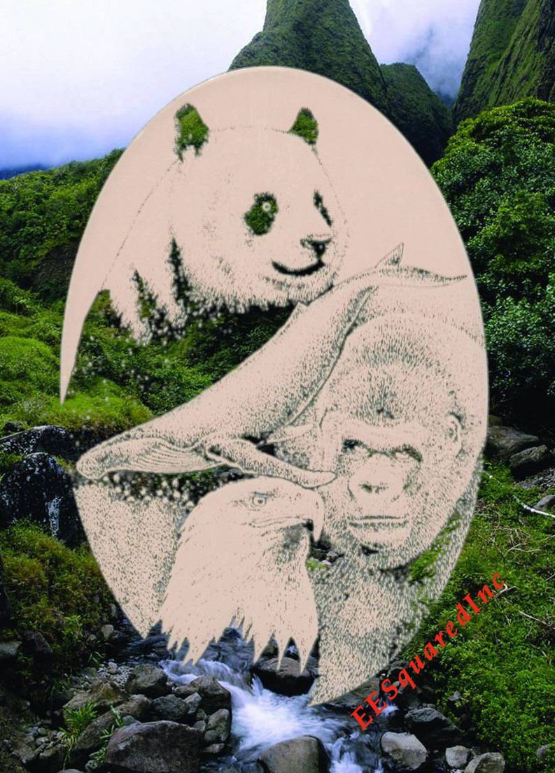 Panda Eagle Whale Gorilla Window Decal 10×16 Static Cling Vinyl Glass Decor NEW