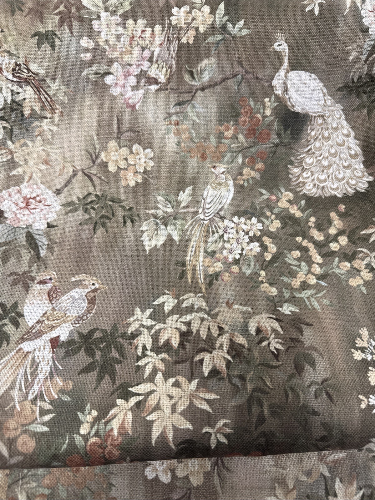 Set 2 Anatara Peacock Birds flower Branches Window Panels 37”x 84” New~