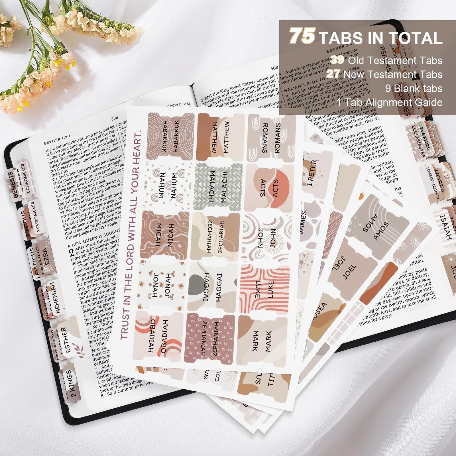 Laminated Bible Tabs for Women & Men – Large Print Study A-boho