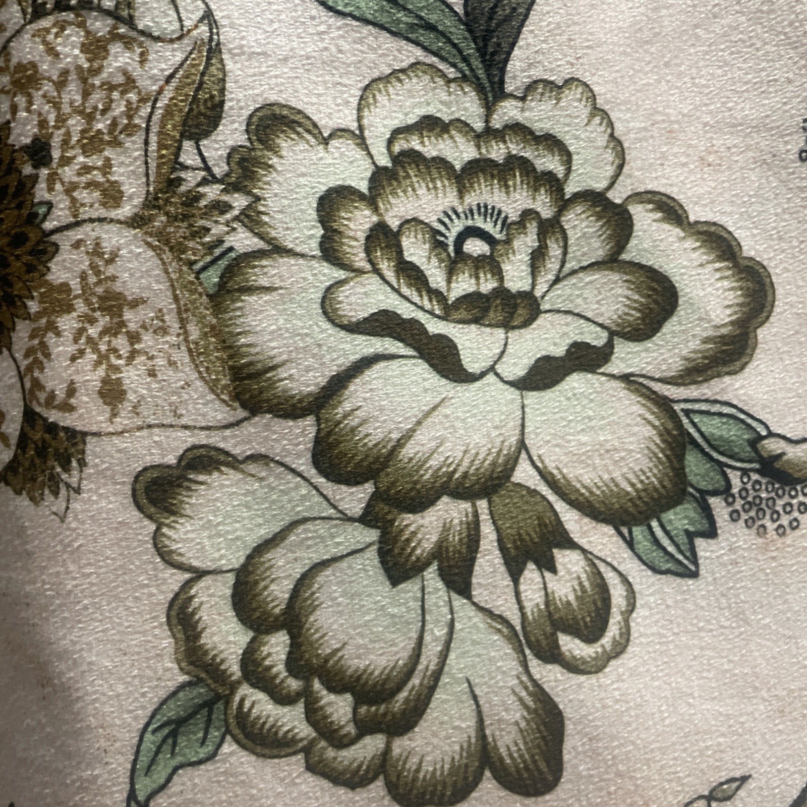 Callisto Home Peacock Bird Floral Curtains 2pc Window Panels Drapes New 38 x 84”