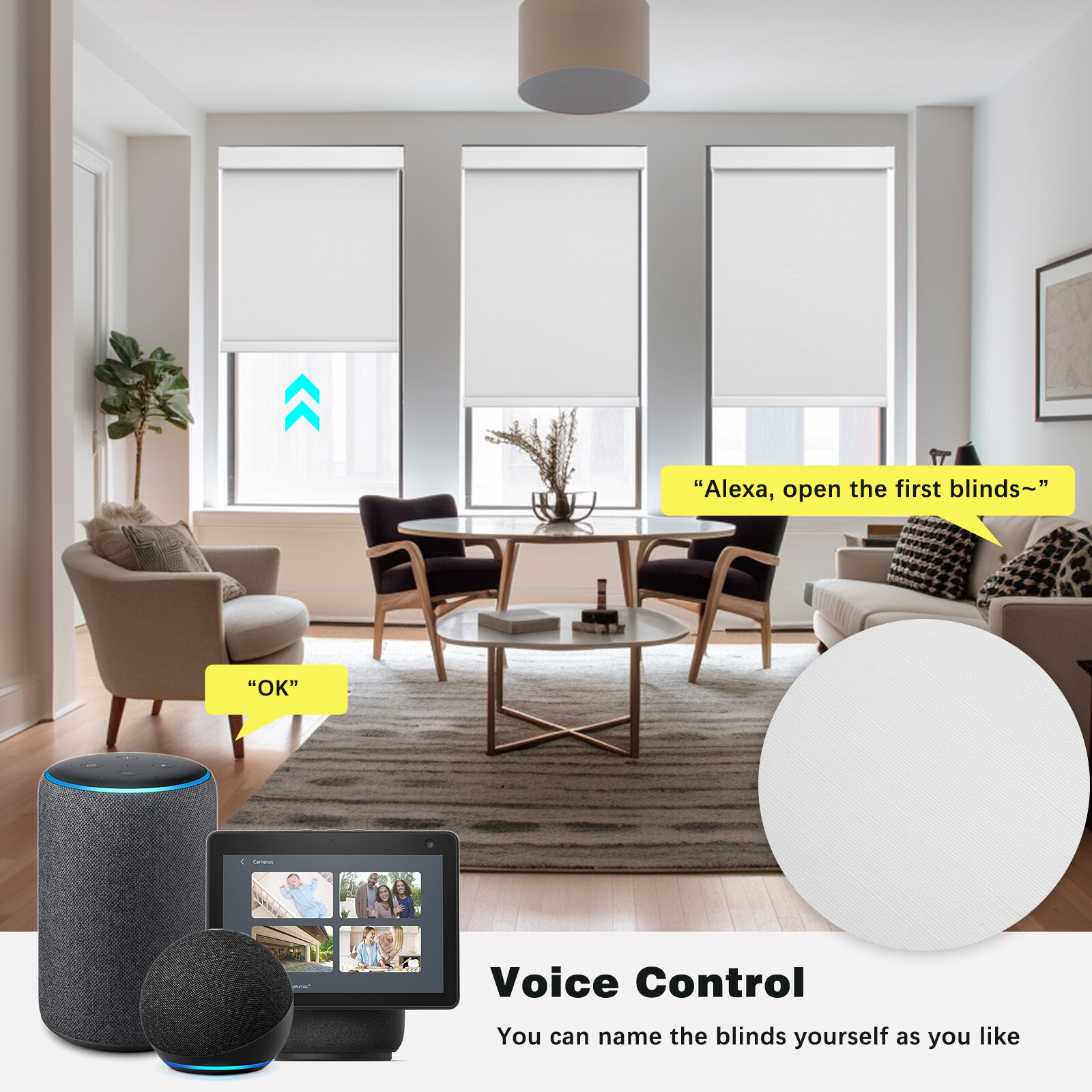 Changshade CUSTOM CUT Smart Blackout Roller Blinds Work with Alexa Phone Control